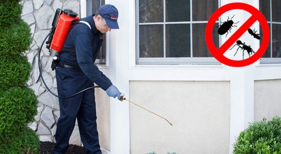Kulu Tahtakurusu İlaçlama böcek ilaçlama ve haşere kontrolü — ilaclama-tr.com